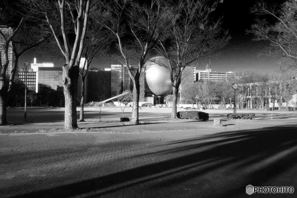 公園をお散歩。