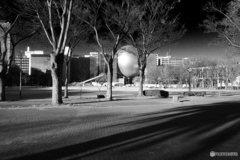 公園をお散歩。