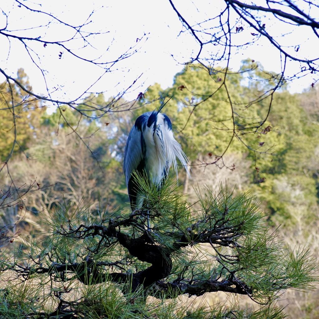 ピクリともしない。