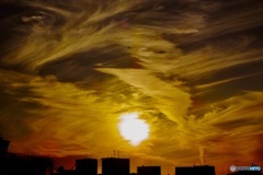 夕陽が見れてよかった。