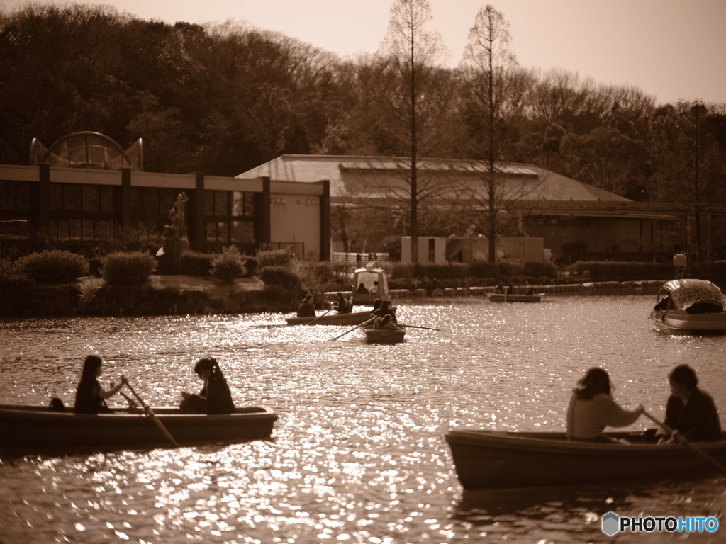 やっぱり手漕ぎボートだよね。