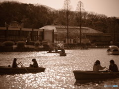 やっぱり手漕ぎボートだよね。