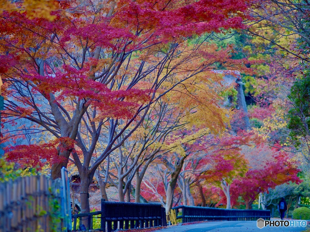 閉園前の静けさが心地良い。