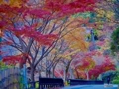 閉園前の静けさが心地良い。