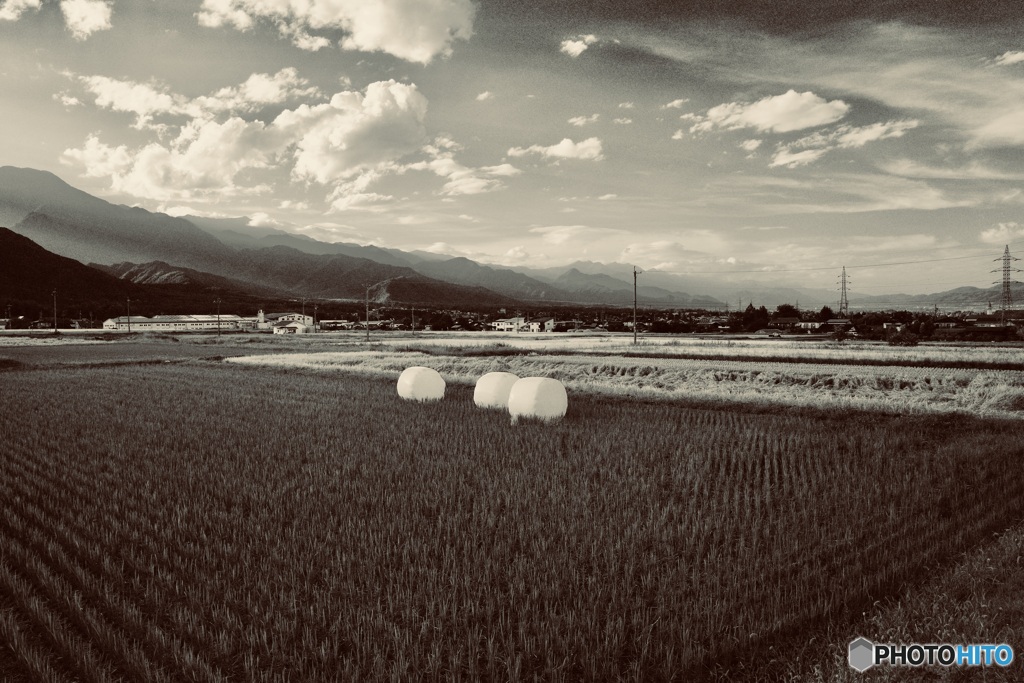 遠くから耕運機の音が聞こえてきます。