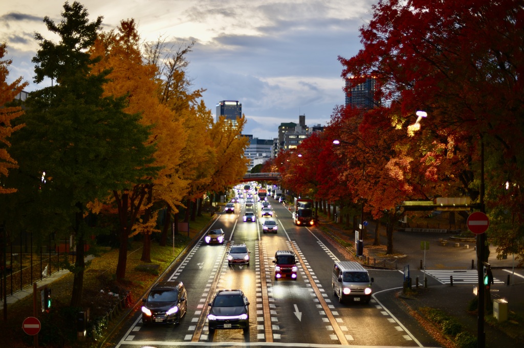 市内の紅葉