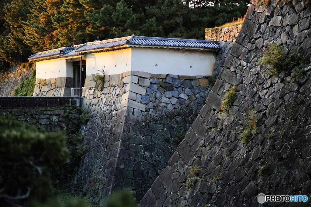 名古屋城のの石垣