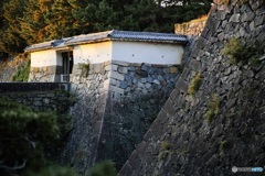 名古屋城のの石垣