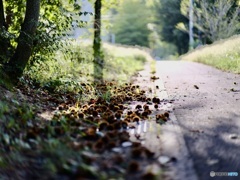 まっくろ◯ろすけ