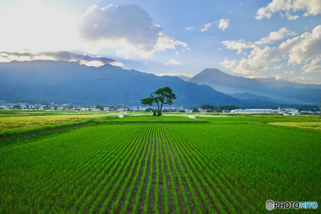 山のある風景
