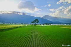 山のある風景