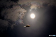 月明かりが眩しい。