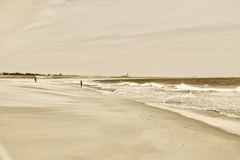 北風吹き荒れる遠州灘。