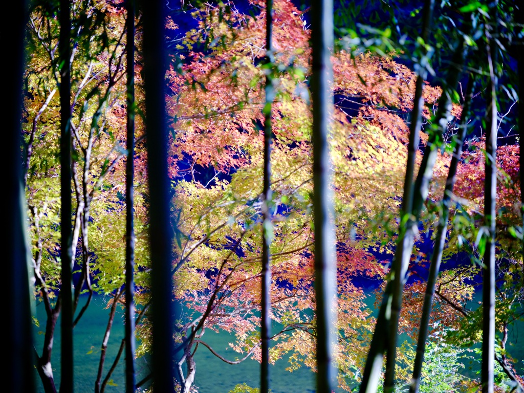 近づけない