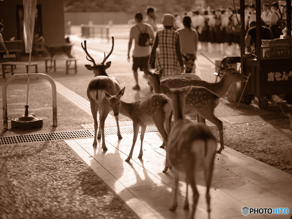 同じ時を生きる。