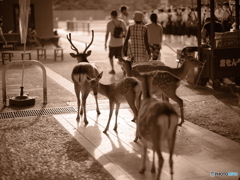 同じ時を生きる。