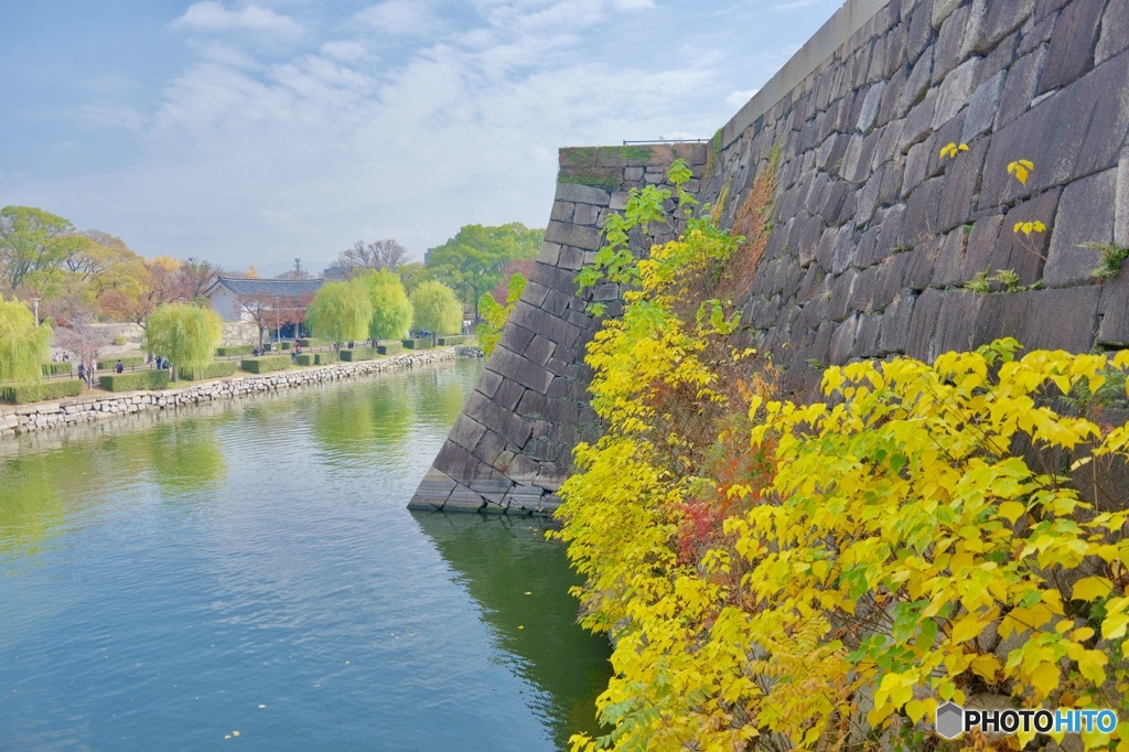石垣のエッジが素晴らしい。