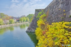 石垣のエッジが素晴らしい。