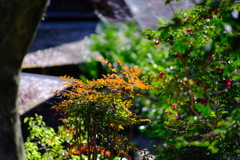 立春の温もり。