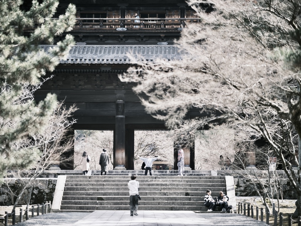 京都へお散歩