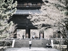 京都へお散歩