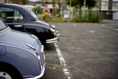 キュートなお尻。