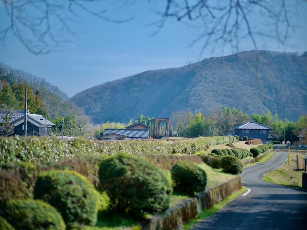 田舎の風景