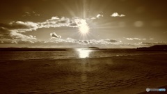 静かな海を求めて三河湾へ。