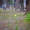 どこにでもある公園で