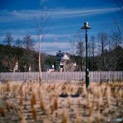 元、愛知青少年公園。