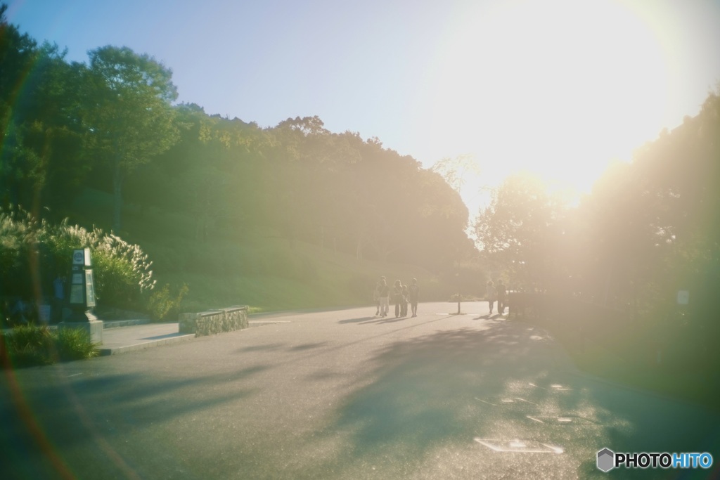 午後の陽を浴びて