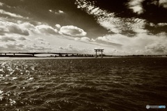 このあと次第に曇り空へ。