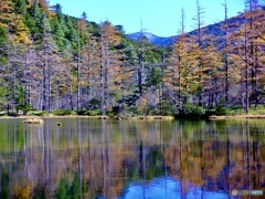 来て良かったな〜と思う瞬間。