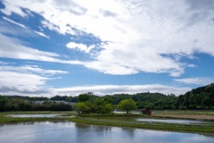 初夏の風