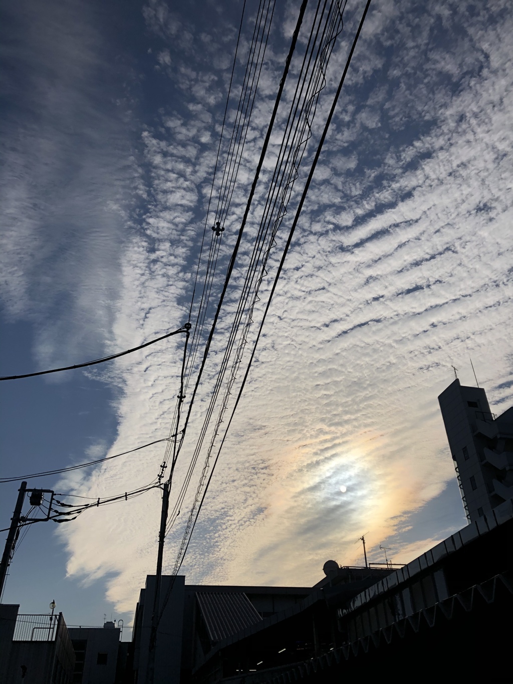 梅雨の中休み