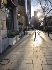 朝日の影