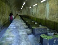 白丸ダム魚道