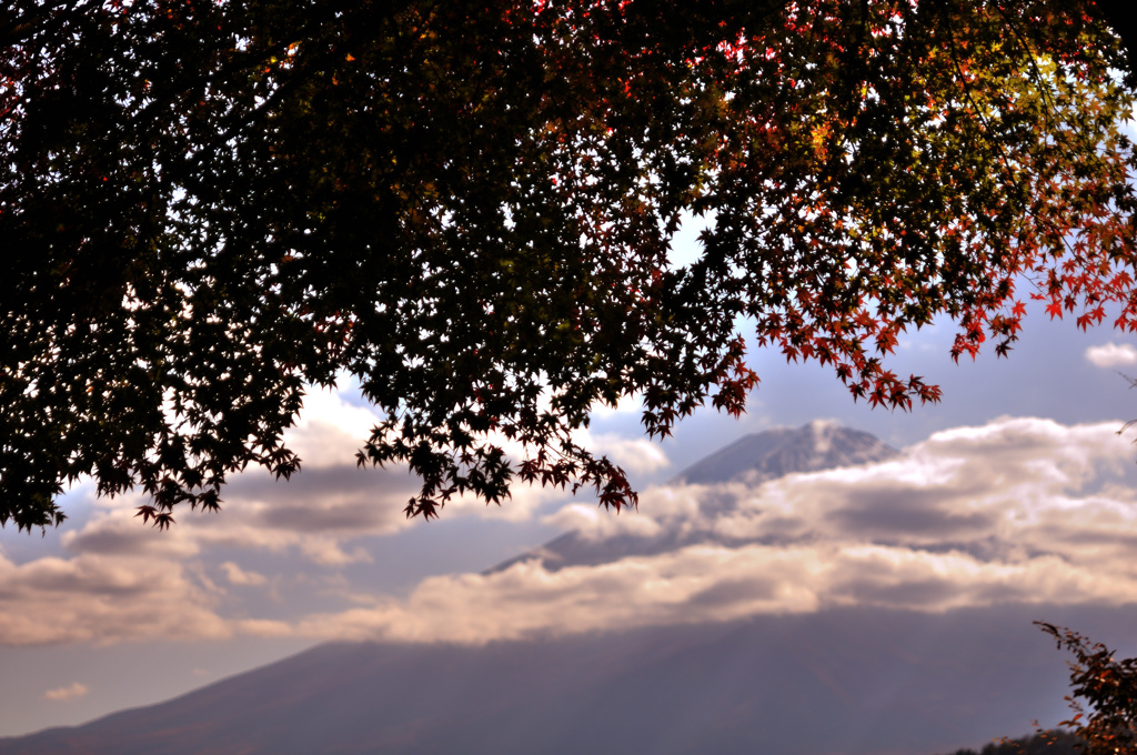 富士山