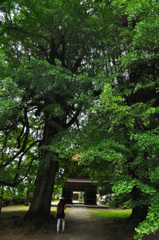 広徳寺