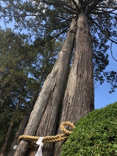 北口富士浅間神社