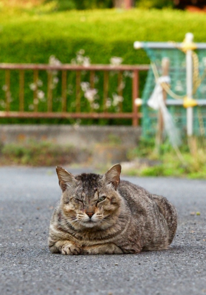 俺の場所だ
