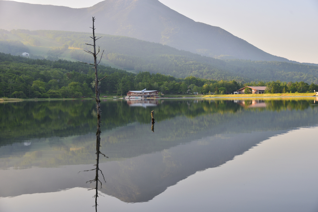 湖畔の朝　女神湖