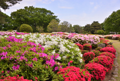 神代植物公園