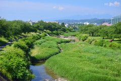 梅雨の中休み　2