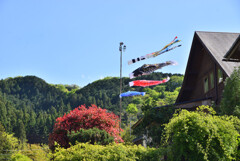 高尾山春季祭