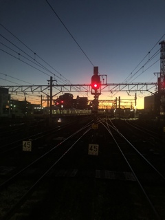 朝