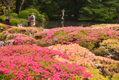 神代植物公園