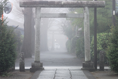 朝霧流れる山門