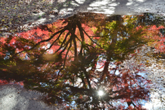 水の中に