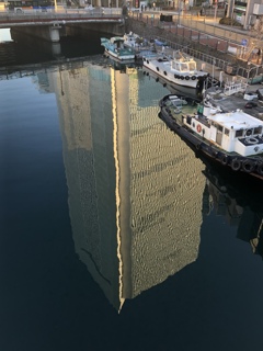 運河と横浜市庁舎